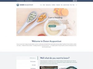 Ocean Acupuncture Website Design