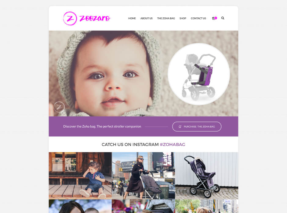 Zoozaro Website Design